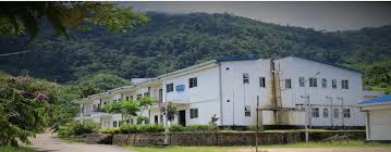nitnagaland College Duniya Bharat