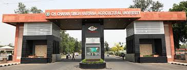 CCS HAU College Duniya Bharat